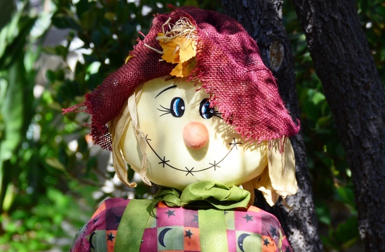 Photo of Scarecrow by Janet Rebhan