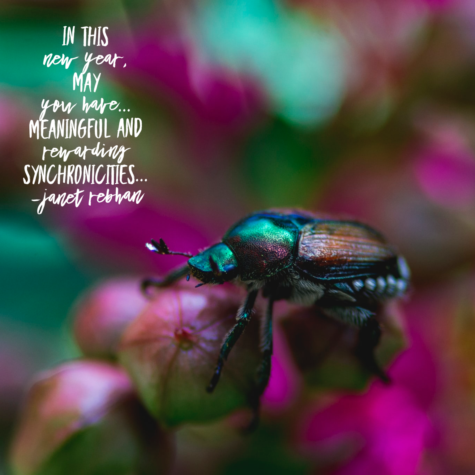 Synchronicity in 2020 and a Magical New Decade Rebhan